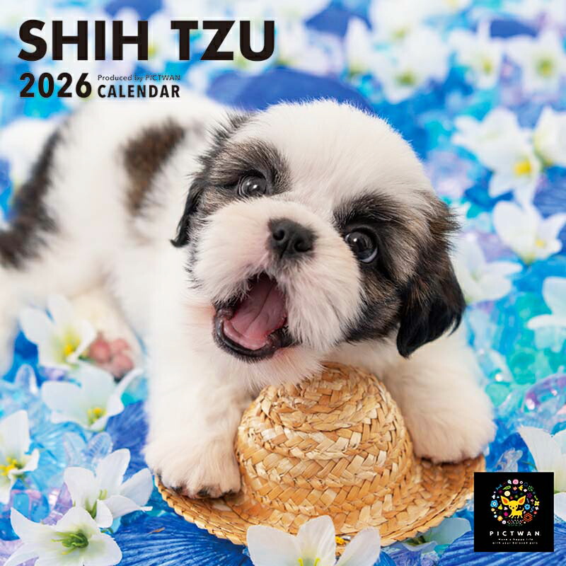 楽天市場】［公式］PICTWANカレンダー 2026年【L判】シー・ズー【送料