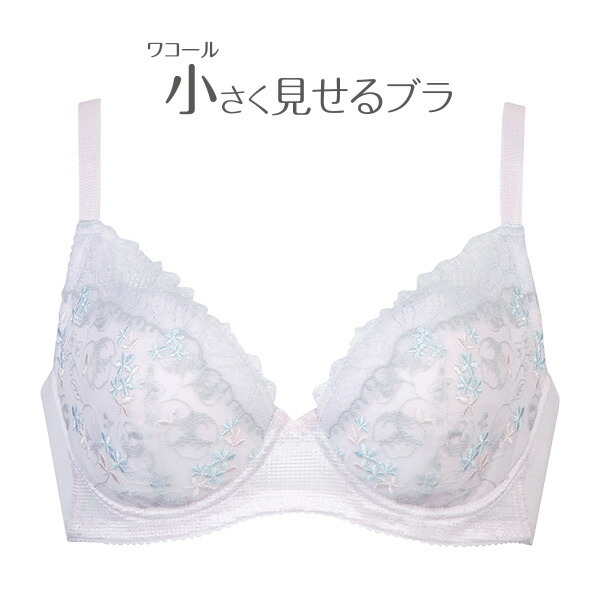 楽天市場 完売致しました ワコール 小さく見せるブラ Brb442シリーズ ブラジャー単品 全6色 G H 70 85 Brb442 アンテシュクレ インナーワールド