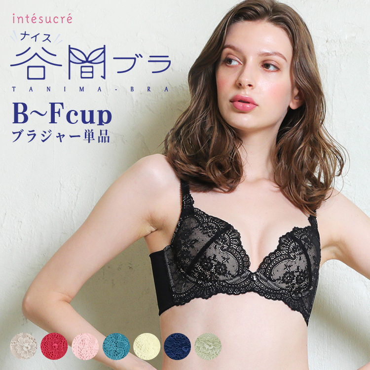 限定値下☆ラクスコレクション ブラジャー E65 | businessicb.com.br