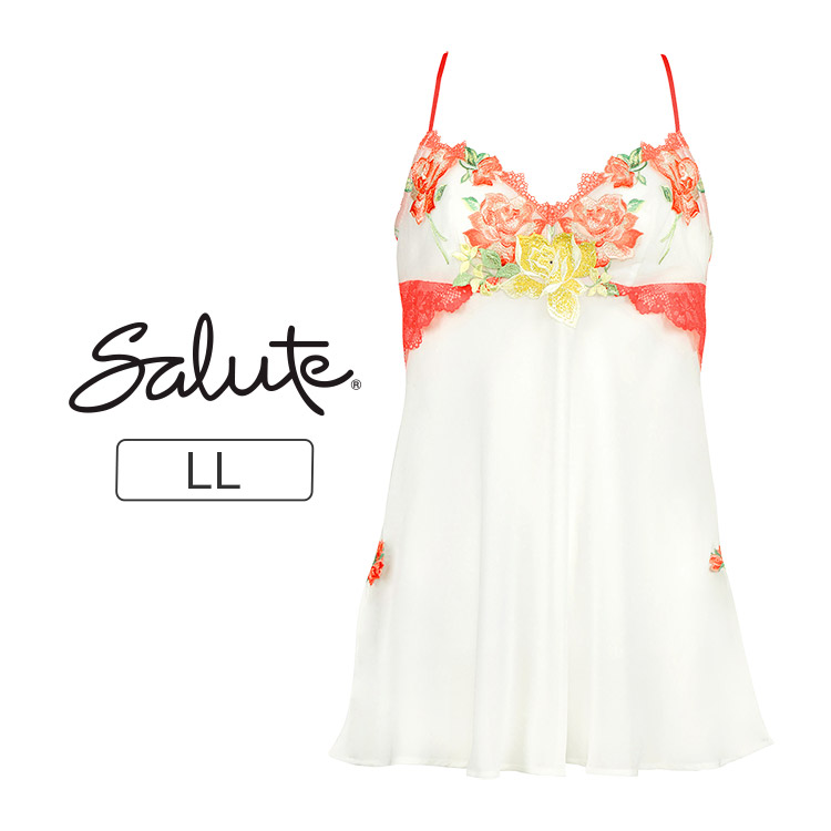 楽天市場】25%OFF ワコール Wacoal サルート salute 12グループ 12g