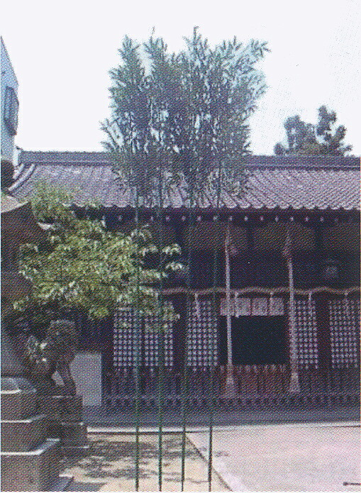 地鎮祭用青竹造花 斎竹 長さ310cm いみたけ 忌竹 いみだけ 神具 神事 神社 神前 神道 地鎮祭 儀式 祭礼 国産 日本製|神具のイントワークス 店