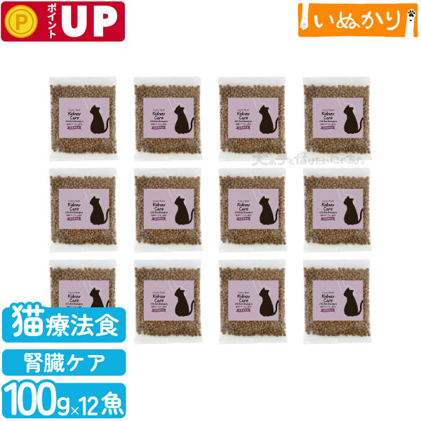 カントリーロード お魚でつくった腎臓ケア チキン＆和牛風味 100g×12 食事療法食 キドニーケア キャットフード