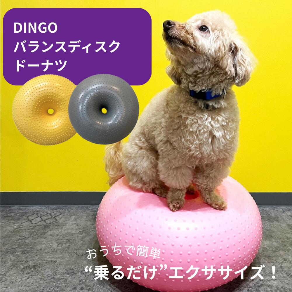 楽天市場】【一年保証】バランスボール 犬 筋トレ 体幹トレーニング