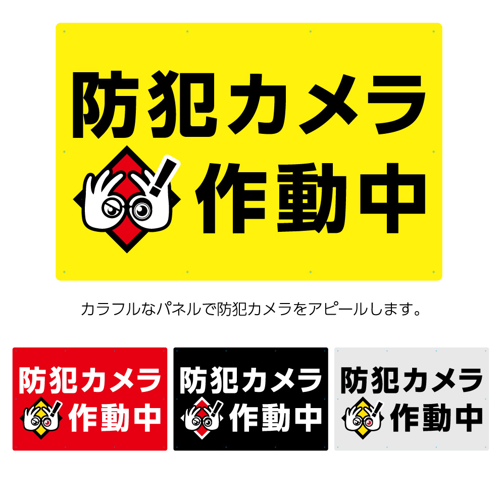 防犯カメラ 作動中 駐車場 看板 パーキング 店舗用 業務用 マンション パネル 案内 注意 W900 H600mm 不動産 管理 屋外 イラスト おしゃれ デザイン 高級感 シック 大きい 目立つ わかりやすい シンプル 管理 角丸加工無料 穴あけ無料 結束バンド付 選べる Paigebird Com