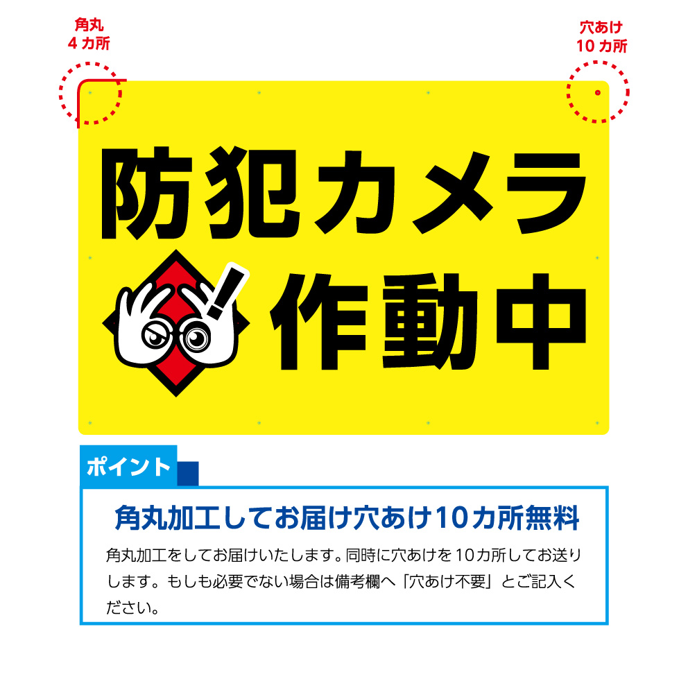 防犯カメラ 作動中 駐車場 看板 パーキング 店舗用 業務用 マンション パネル 案内 注意 W900 H600mm 不動産 管理 屋外 イラスト おしゃれ デザイン 高級感 シック 大きい 目立つ わかりやすい シンプル 管理 角丸加工無料 穴あけ無料 結束バンド付 選べる septicin Com