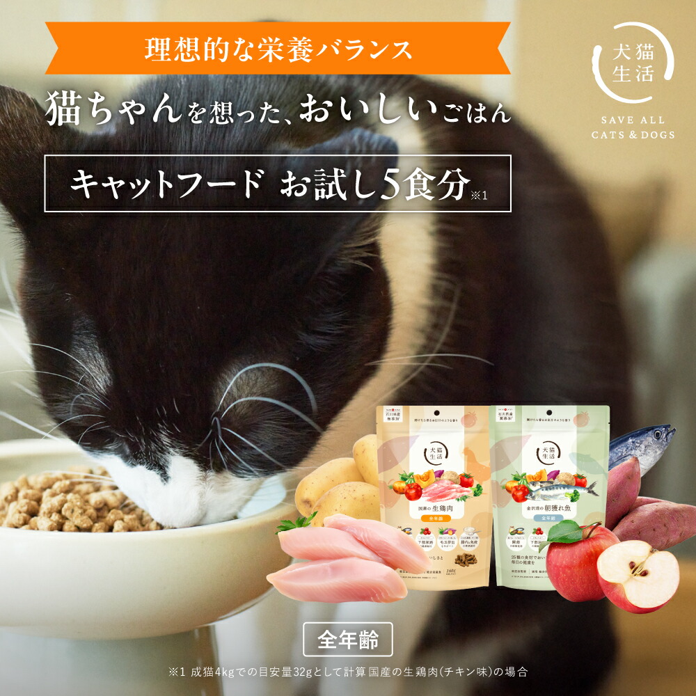 犬猫生活 キャットフード オールステージ 全年齢750g×3袋 楽天市場】【最大20％OFF 本日限定】特典有 犬猫生活
