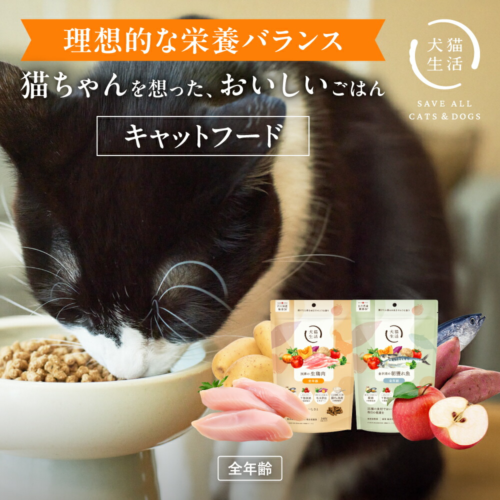 犬猫生活 キャットフード 全年齢
