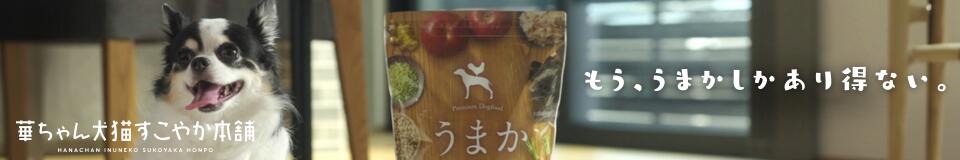 �ڤ����ǭ�����䤫���ޡ��彣����̣Ļ100�����Ѥ������ʼ��ʥɥå��ա���