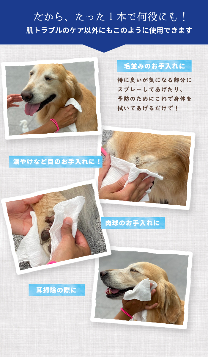 楽天市場 犬 デンタルケア 製品化のお声多数でついに新発売 愛犬 愛猫の肌の赤いプツプツ 耳掃除や肉球のお手入れ がこれ1本で S Ele100ピュアツルウォーター 犬猫博士の研究所