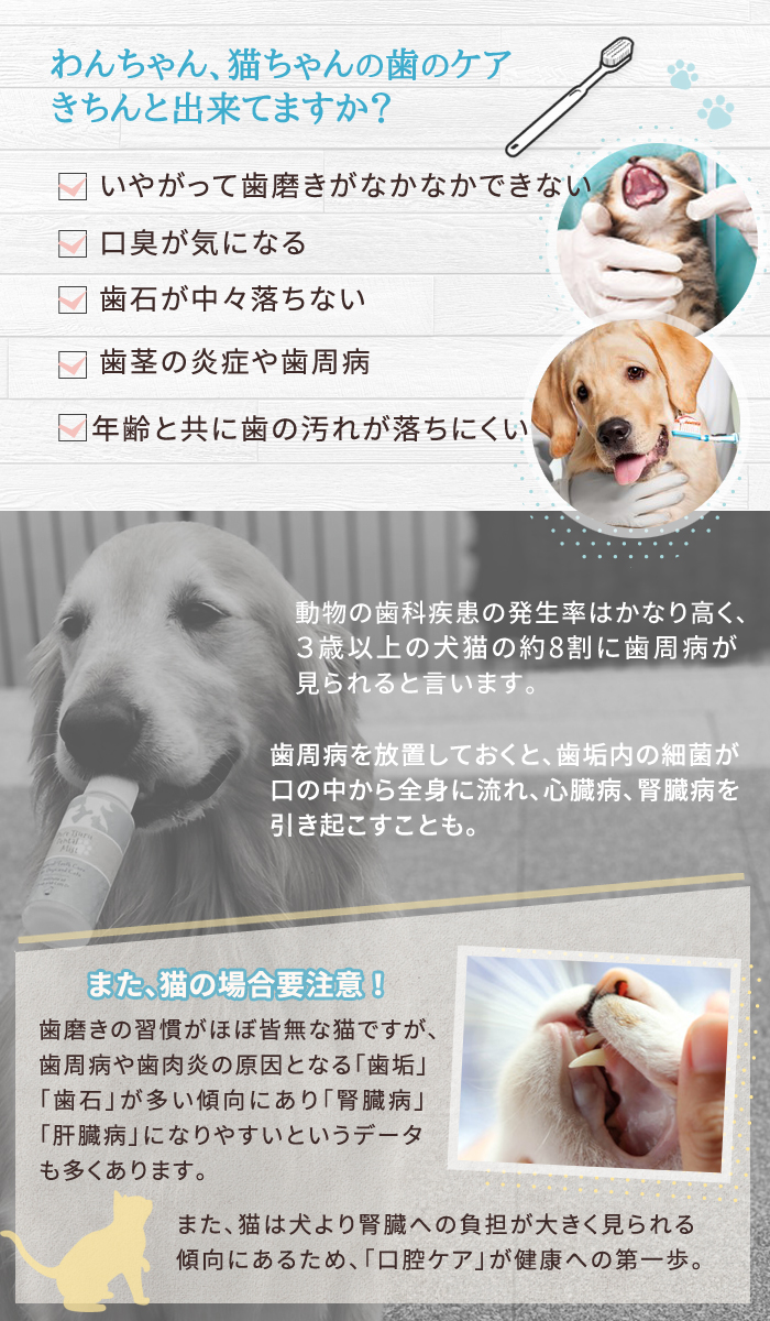 楽天市場 ミスト歯磨き 80ml 犬 デンタルケア わんこの 犬 歯石除去 歯垢 犬 歯石取り 猫 歯石取り 犬 口臭 犬 歯磨き粉 歯磨きミスト 猫 口内炎 無添加 口臭予防 安心安全な100 天然由来 歯磨きミスト ピュアツルミスト 犬猫博士の研究所