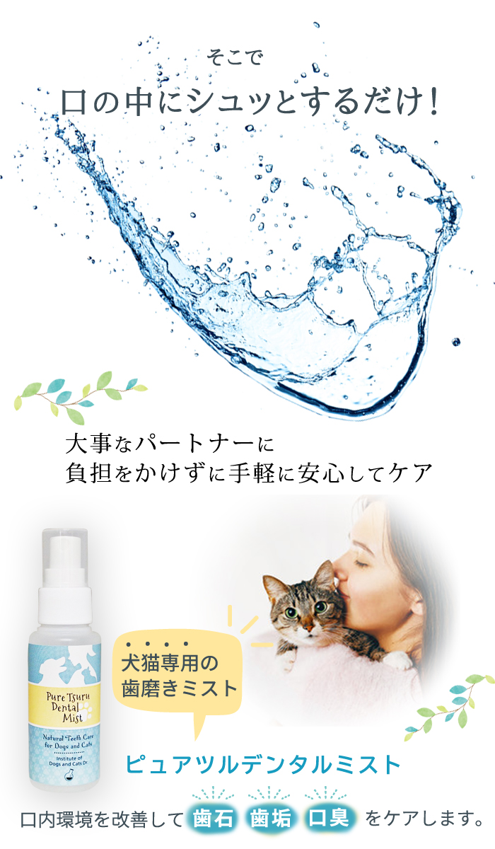 楽天市場 ミスト歯磨き 80ml 犬 デンタルケア わんこの 犬 歯石除去 歯垢 犬 歯石取り 猫 歯石取り 犬 口臭 犬 歯磨き粉 歯磨きミスト 猫 口内炎 無添加 口臭予防 安心安全な100 天然由来 歯磨きミスト ピュアツルミスト 犬猫博士の研究所