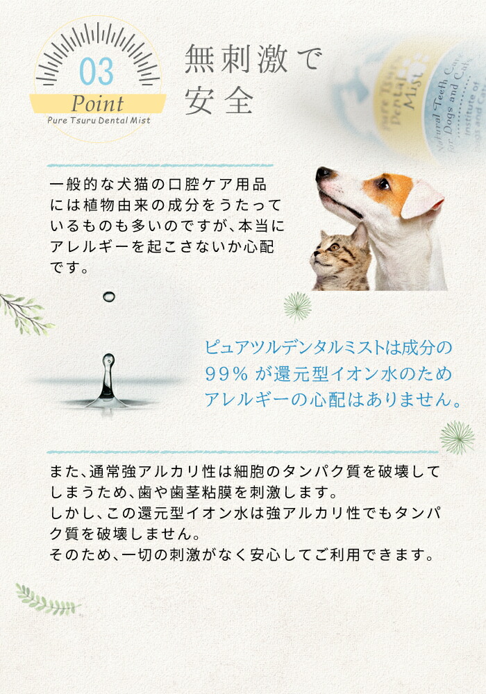 限定品 ミスト歯磨き 80ml 犬 デンタルケア わんこの 歯石除去 歯垢 歯石取り 猫 口臭 歯磨き粉 歯磨きミスト 無添加 口臭予防 安心安全な100 天然由来 ピュアツルミスト Taibachlibrary Org Uk