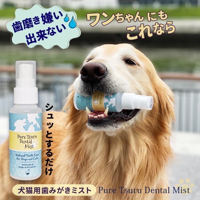 楽天市場】ミスト歯磨き 80mL 犬 デンタルケア わんこの 犬 歯石除去 歯垢 犬 歯石取り 猫 歯石取り 犬 口臭 犬 歯磨き粉 歯磨きミスト 猫  無添加 口臭予防 安心安全な100％天然由来！歯磨きミスト ピュアツルミスト : 犬猫博士の研究所