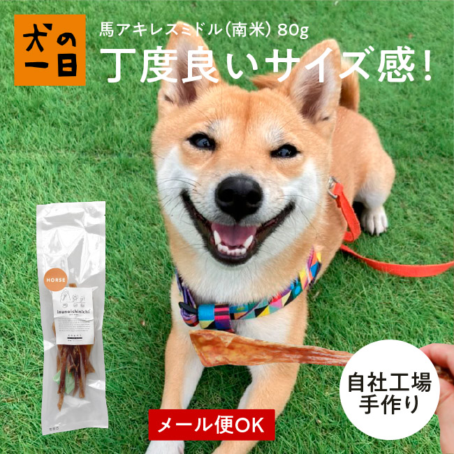 完全無添加 馬アキレスミドル80g 犬 おやつ 無添加 国産 犬の一日 手作り 犬おやつ 国産無添加 ちょうどいい 歯みがき 歯磨き デンタルケア  ガム 歯みがきガム 馬アキレス アキレス おうち時間 ペット ペット用品 推奨