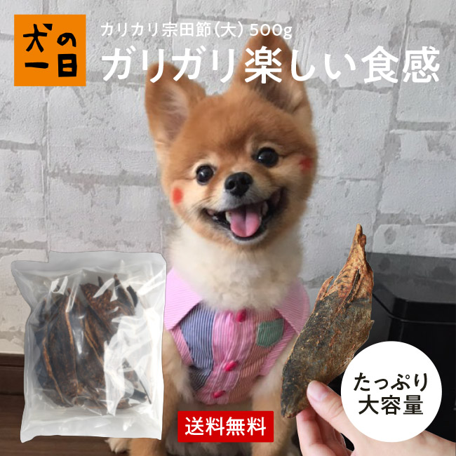 送料無料 カリカリ宗田節 大 500g 約10から14本 犬 おやつ 無添加 国産 犬の一日 手作り 犬おやつ 国産無添加 カツオ節 カツオ 節 かつお節 かつお 最高級 魚 猫の一日 おうち時間 ペット ペット用品 新品