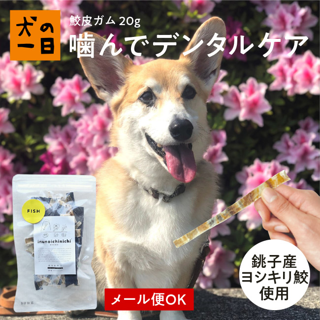 銚子産 鮫皮ガムg犬 おやつ 無添加 国産 犬の一日 手作り 犬おやつ 国産無添加 歯みがき 歯磨き サメ さめ 魚 おうち時間 ペット ペット用品 完成品