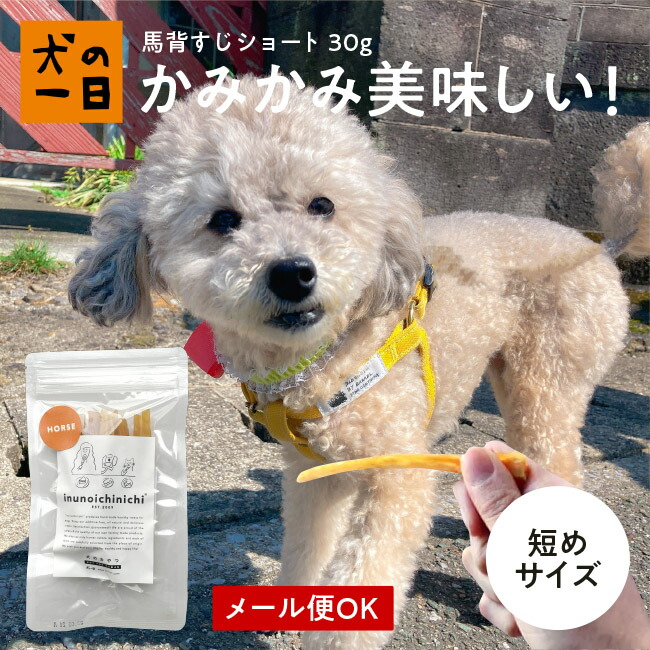 馬背すじショート 30g犬 おやつ 無添加 犬の一日 手作り 犬おやつ 歯みがき 歯磨き デンタルケア ガム 歯みがきガム おうち時間 総合福袋