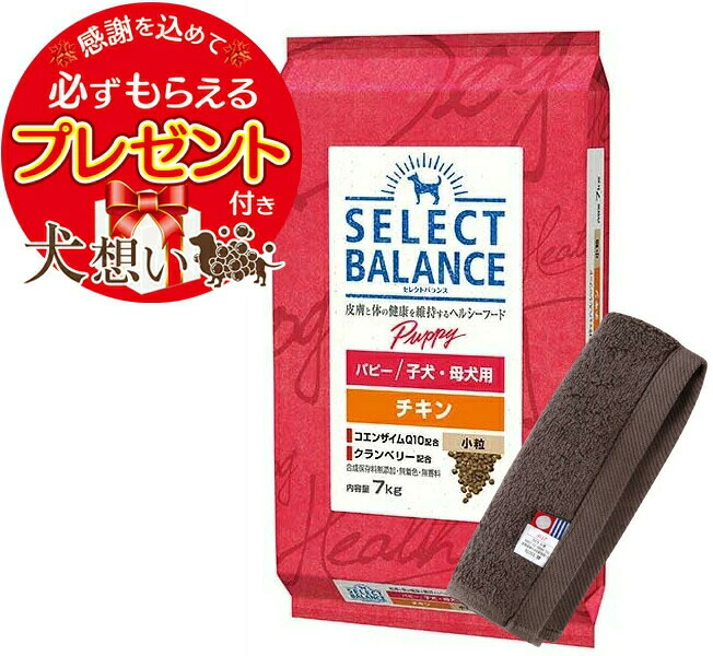 セレクトバランス パピー チキン 小粒 子犬・母犬用 7kg【今治ハンドタオルプレゼント】【タオルカラー モカ】|犬想い premium