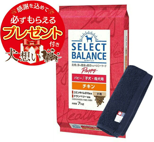 セレクトバランス パピー チキン 小粒 子犬・母犬用 7kg【今治ハンドタオルプレゼント】【タオルカラー ネイビー】｜犬想い premium 7,732円