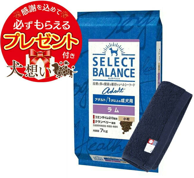 セレクトバランス アダルト ラム 小粒 １才以上の成犬用 7kg【今治ハンドタオルプレゼント】【タオルカラー ネイビー】｜犬想い premium