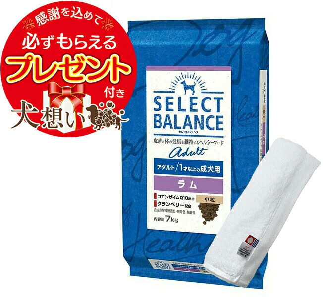 セレクトバランス アダルト ラム 小粒 １才以上の成犬用 7kg【今治ハンドタオルプレゼント】【タオルカラー ホワイト】｜犬想い premium