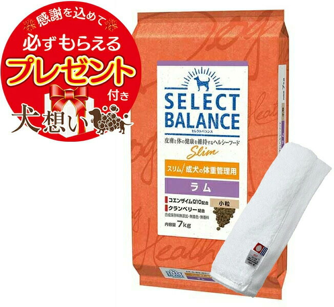 セレクトバランス スリム ラム 小粒 成犬の体重管理用 7kg【今治ハンドタオルプレゼント】【タオルカラー ホワイト】|犬想い premium