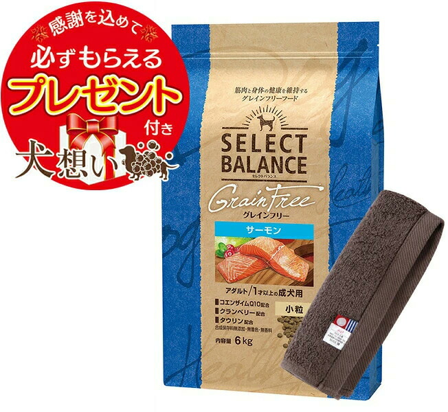 より分ける平衡にする グレインフリー 成年者 秋味 微粒子 １才以上の成犬用 6kg【今治ハンドタオルプレゼント】【西洋手ぬぐい色つや モカ】