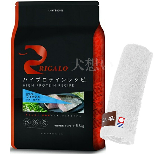 【貨物輸送無料】リガロ ハイプロテインレシピ 犬ころ成犬用 魚族 5.8kg【犬願望すること目あたらしい今治ハンドタオルプレゼント】【西洋手ぬぐい色合い 白いこと】