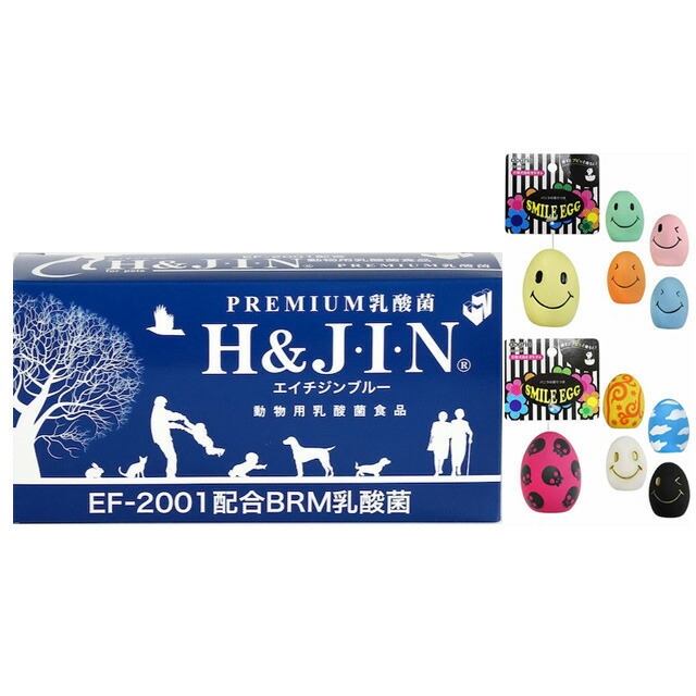 楽天市場】H＆JIN ジン エイチジンブルー h-jin 乳酸菌 動物用 90包 犬