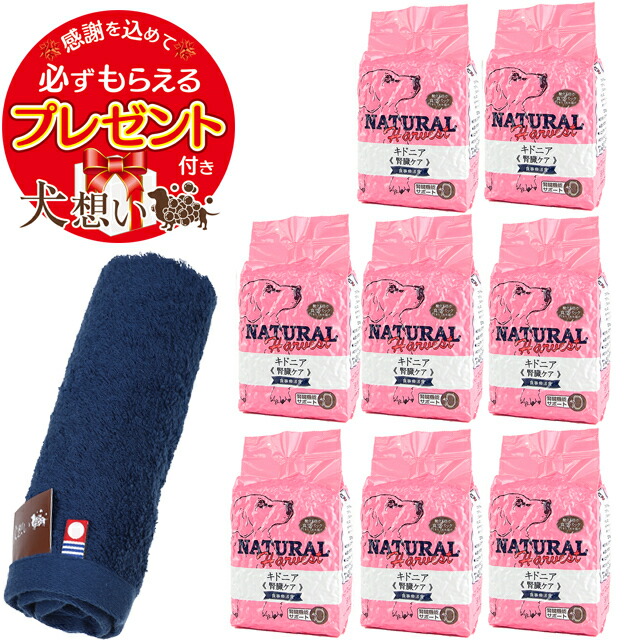 初売り プレゼント付き あす楽 送料無料 ポイント10倍 ナチュラルハーベスト キドニア 腎臓ケア用食事療法食 1 36kg 8袋 犬想いオリジナル今治ハンドタオルセット タオルカラー ネイビー 正規品 初売り プレゼント付き あす楽 送料無料 ポイント10倍 ナチュラルハーベスト キドニア 腎臓ケア用食事療法食 1 36kg 8袋 犬想いオリジナル今治ハンドタオルセット タオルカラー ネイビー 正規品