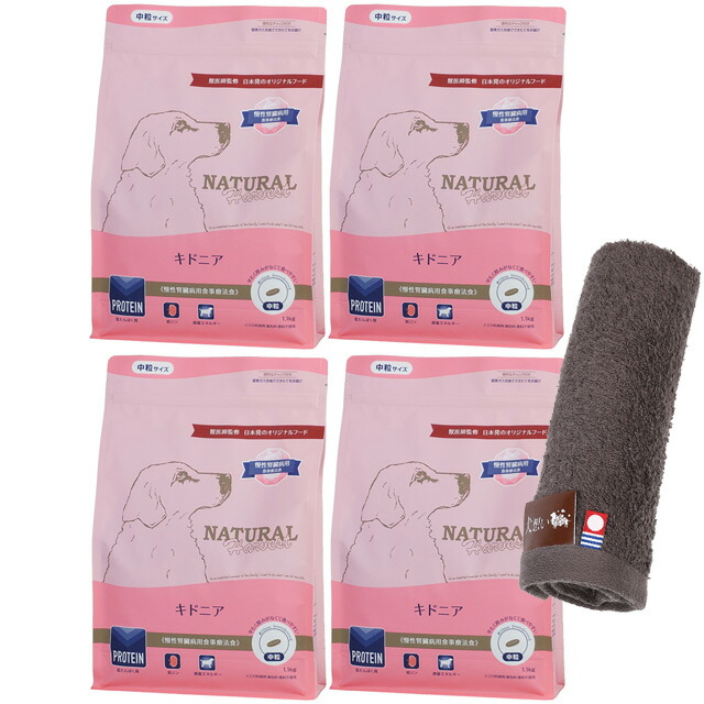 【貨物輸送無料】ナチュラルハーベスト キドニア 腎の臓世話をする用 1.1kg 4袋【今治ハンドタオルプレゼント】【西洋手ぬぐい色つや モカ】