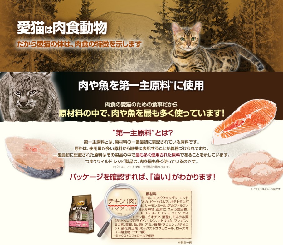 素晴らしい価格 ニュートロ ワイルドレシピ アダルト サーモン 成猫用 2kg 4個セット fucoa.cl