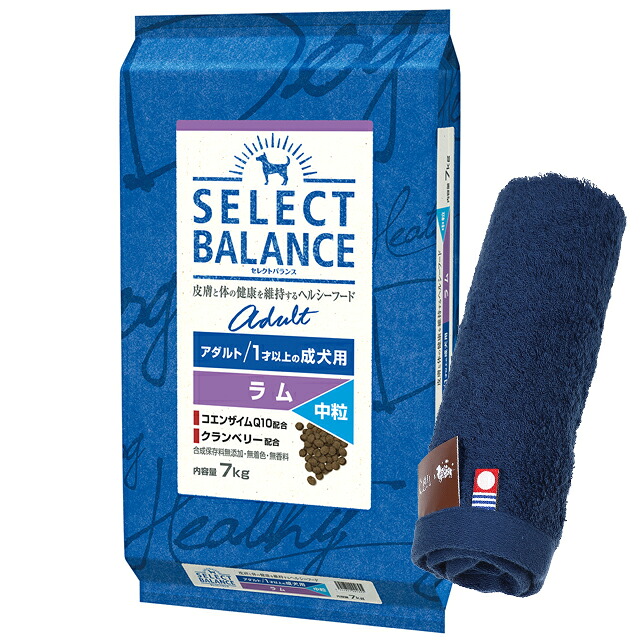 【送料無料】セレクトバランス アダルト ラム 中粒 １才以上の成犬用 7kg【今治ハンドタオルプレゼント】【タオルカラー ネイビー】