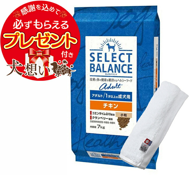 【プレゼント付】【送料無料】セレクトバランス アダルト チキン 小粒 １才以上の成犬用 7kg【犬想いオリジナル今治ハンドタオルセット】【タオルカラー ホワイト】【正規品】