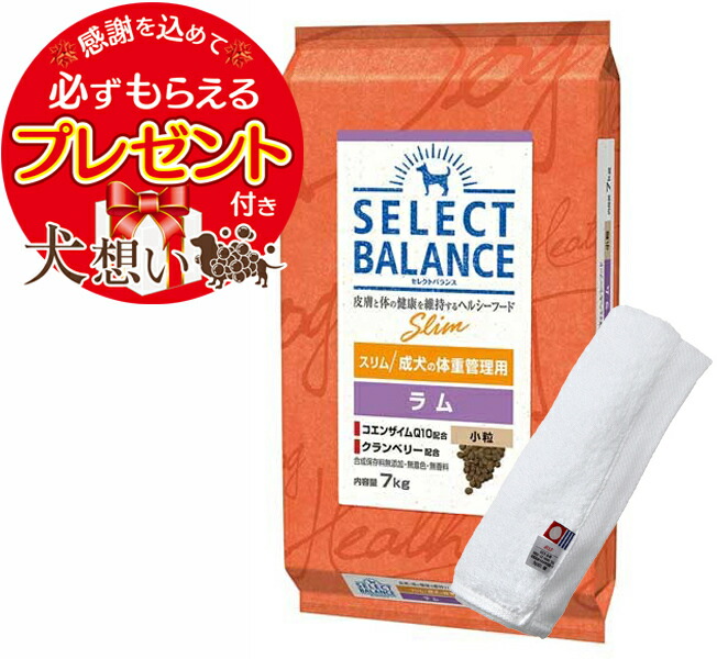 【プレゼント付】【送料無料】セレクトバランス スリム ラム 小粒 成犬の体重管理用 7kg【犬想いオリジナル今治ハンドタオルセット】【タオルカラー ホワイト】【正規品】