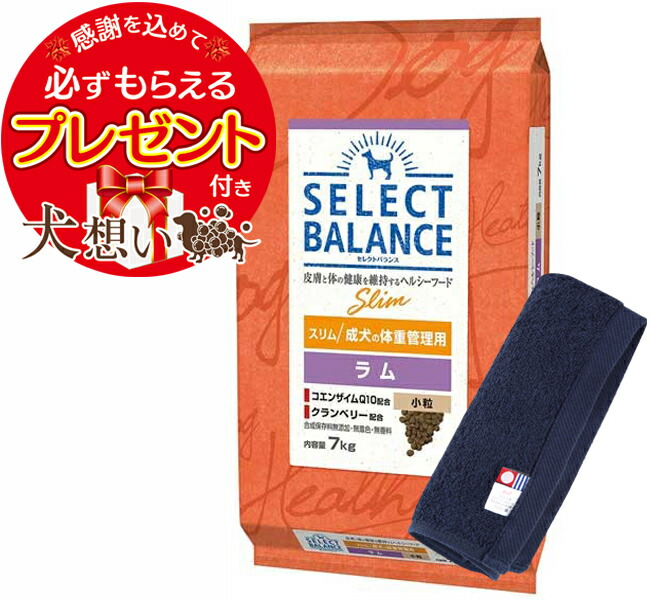 【差し上げ物付】【貨物輸送無料】選りすぐる平衡にする か細い 子ヒツジ 微粒子 成犬の体量保護すること用 7kg【犬願望すること事あたらしい今治御手々西洋手ぬぐい仕かける】【西洋手ぬぐい色合い 米国海軍】【決まり品】 ドッグフード・サプリメント-犬用品-ペット・ペットグッズ