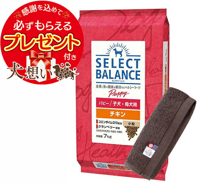 楽天市場】【送料無料】セレクトバランス パピー チキン 小粒