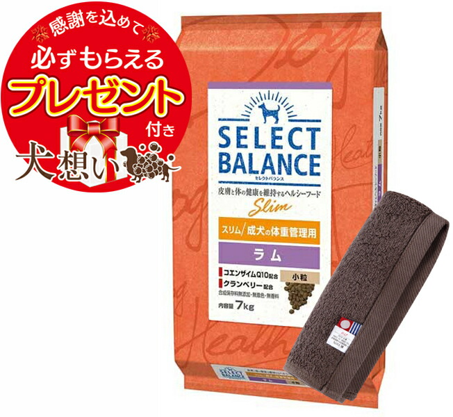 楽天市場】【プレゼント付】【送料無料】セレクトバランス 楽天市場】【プレゼント付】【送料無料】セレクトバランス