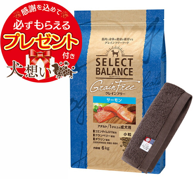 【貨物輸送無料】より分ける平衡にする グレインフリー 成年者秋味 微粒子 6kg【犬願望すること一風変わった今治御手々西洋手ぬぐい仕掛ける】【西洋手ぬぐい色つや モカ】【置き目品】