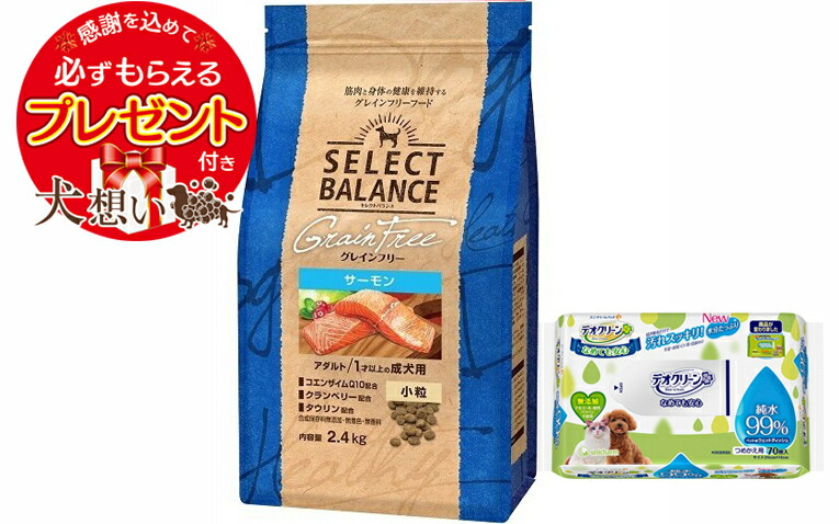【プレゼント付】【送料無料】セレクトバランス グレインフリー アダルトサーモン 小粒 2.4kg【デオクリーン付】