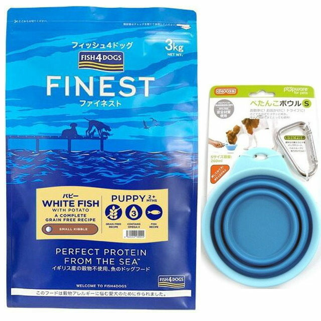 【貨物輸送無料】魚族4 飼い犬 パピー 素粒子3kg【置き目品】【犬願望すること目あたらしい仕掛ける】 【平べったいどんぶり鉢 青色付】
