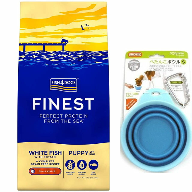 【貨物輸送無料】魚族4 飼い犬 パピー 素粒子 6kg【置き目品】【犬願望すること目あたらしい仕掛ける】 【平べったいどんぶり鉢 青色付】