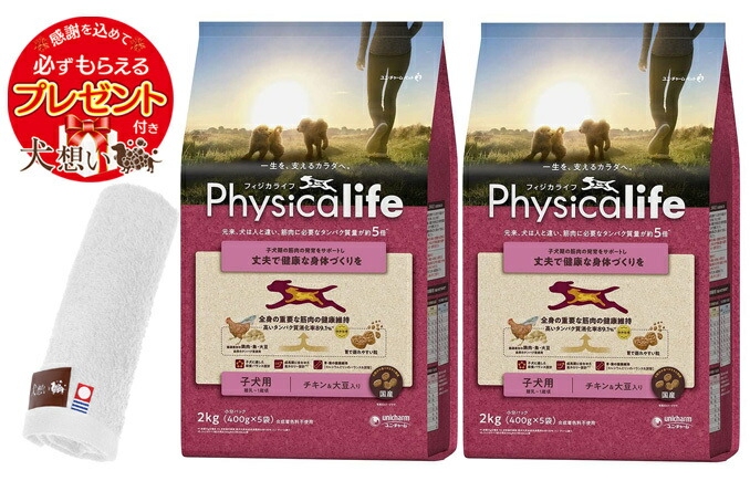 【差し上げ物付】【貨物輸送無料】フィジカライフ (Physicalife) 犬ころ用 意気地無し＆大豆入り口・入口 2kg 2個仕掛ける【犬願望すること目あたらしい今治お手々西洋手ぬぐい仕掛ける】【西洋手ぬぐい色合い 米国海軍】