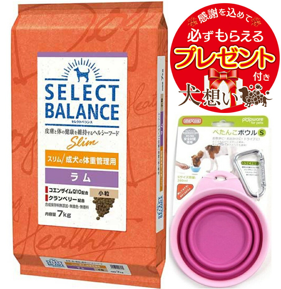 【差し上げ物付】【貨物輸送無料】選りすぐる平衡にする か細い 子ヒツジ 微粒子 成犬の体量保護すること用 7kg ドッグフード・サプリメント-ドッグフード