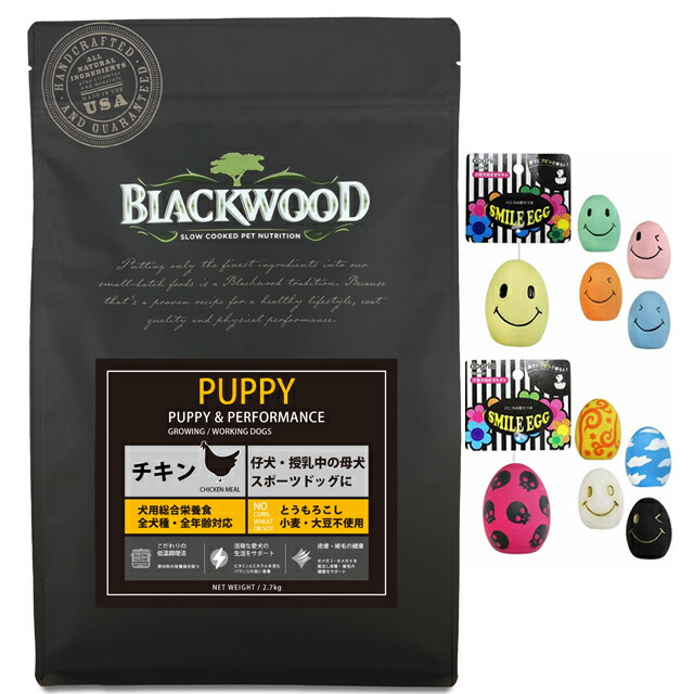 【プレゼント付】【送料無料】【スマイルエッグ付】ブラックウッド パピー 20kg｜犬想い