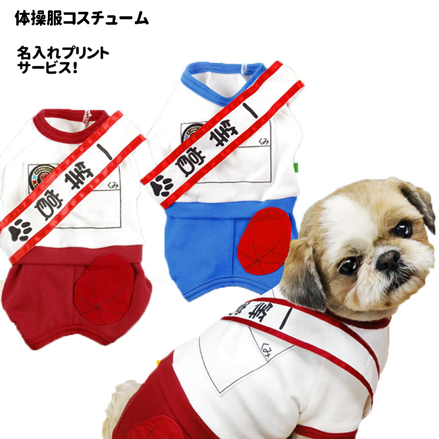 楽天市場 犬服 コスプレ ブルーのみ 名前入れサービス 体操着 体操服 コスチューム 小型犬 春 秋 エアバルーン ブランド ハロウィン グッズ 運動会 チワワ ヨーキー トイプードル ダックスフンドなど ペット 洋服 おしゃれ 犬屋楽天市場店