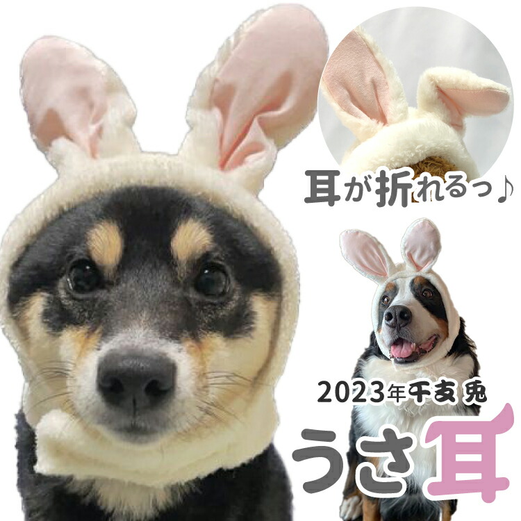 97%OFF!】 1個 うさ耳 帽子 ペット 犬 猫 2023 うさぎ 干支 年賀状 コスプレ