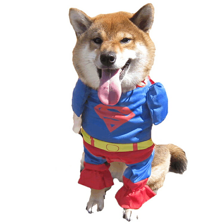 楽天市場 犬服 スーパーワン コスプレ ハロウィン コスチューム Xxl 2足歩行 中型犬 グッズ 衣装 仮装 着ぐるみ セール ペット 洋服 おしゃれ 送料無料 犬屋楽天市場店