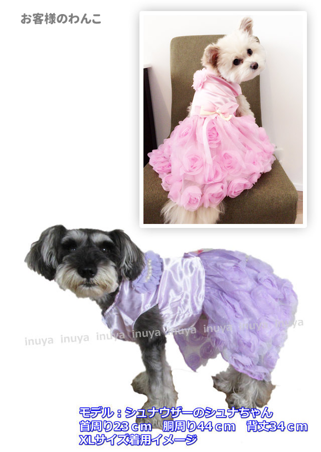 アウトレット ピンクxl パープルsのみ 犬服 フリル フリフリ ワンピース ドレス パール ピンク パープル 小型犬 春 夏 チワワ ヨーキー トイプードル マルチーズ ダックスフンド シュナウザーなど ペット 洋服 おしゃれ Giosenglish Com