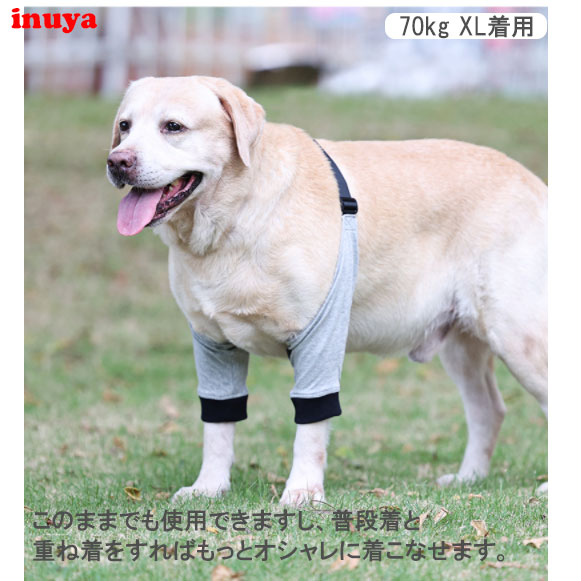 市場 前足 床ずれ防止 レッグガード 肘 犬のための 犬用品 介護用